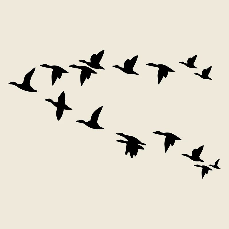 Vogelschwarm flock of birds