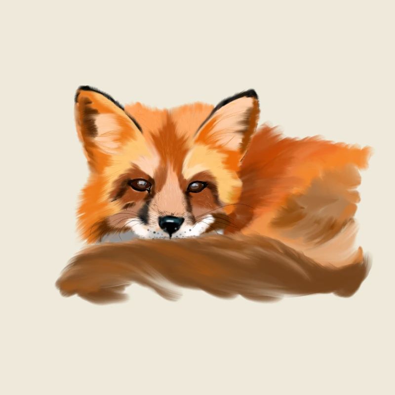 Fuchs