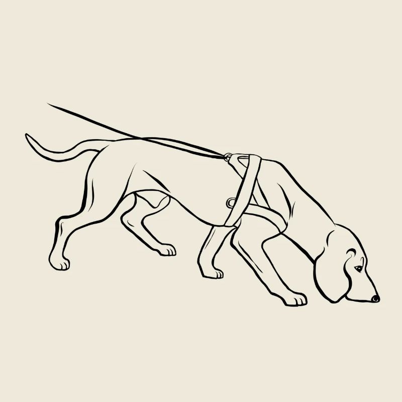 bloodhound