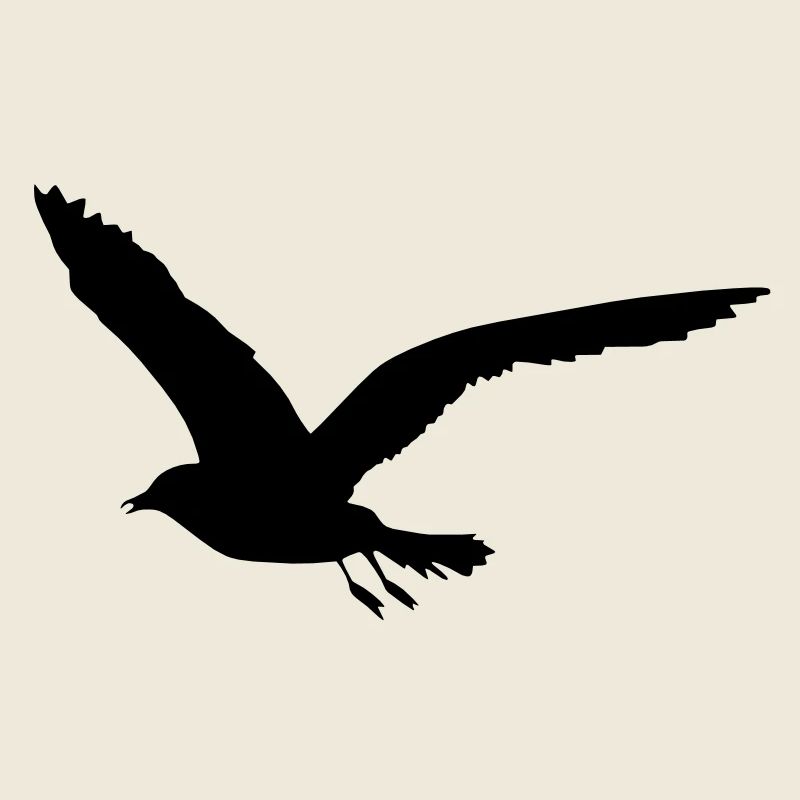 seagull