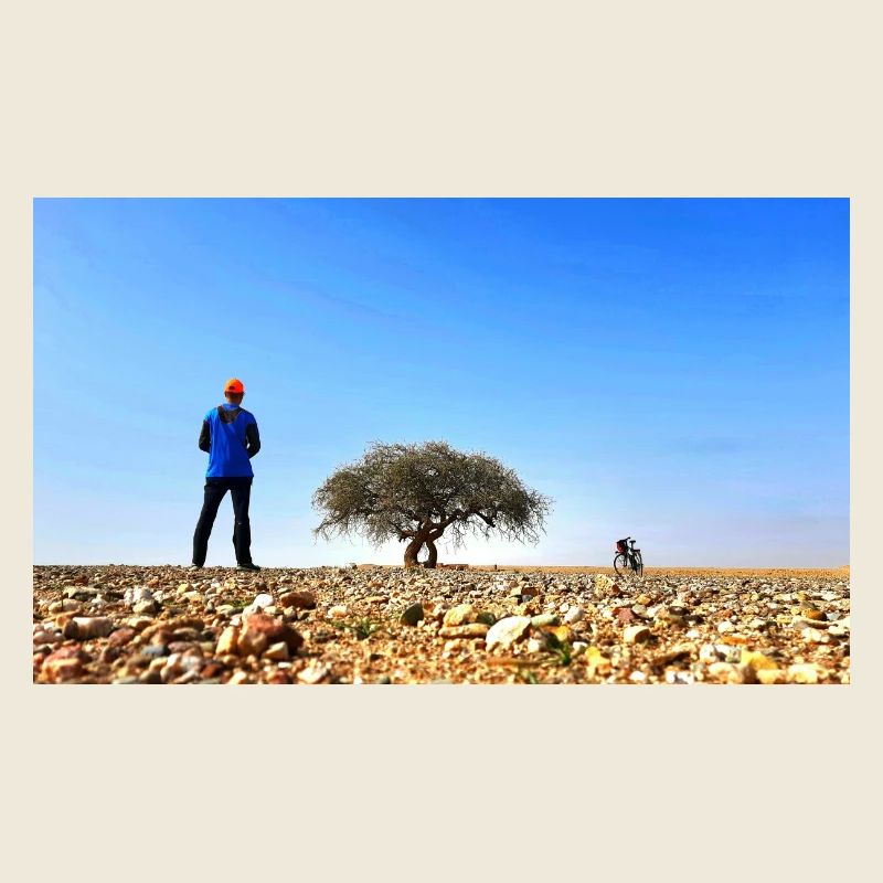 Explorateur solitaire avec arbre et vélo