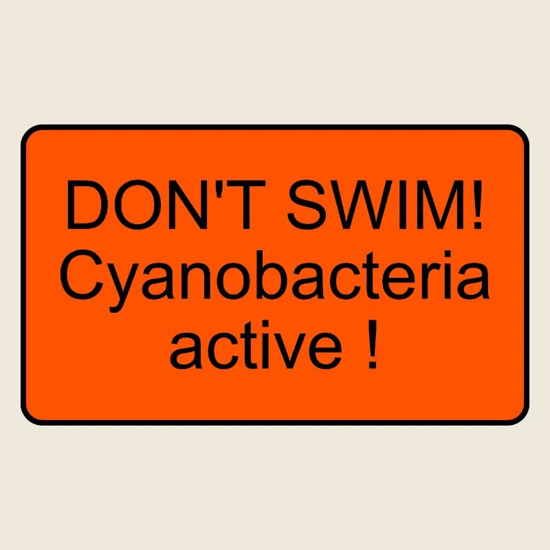 Cyanobacteria