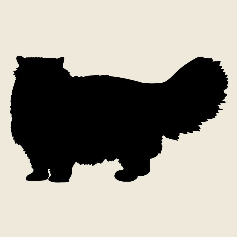 Chat persan