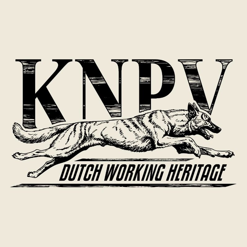 KNPV Dutch Working Line – Protection Dog Training 