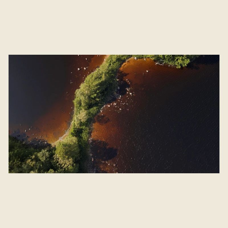 Forest River Shoreline