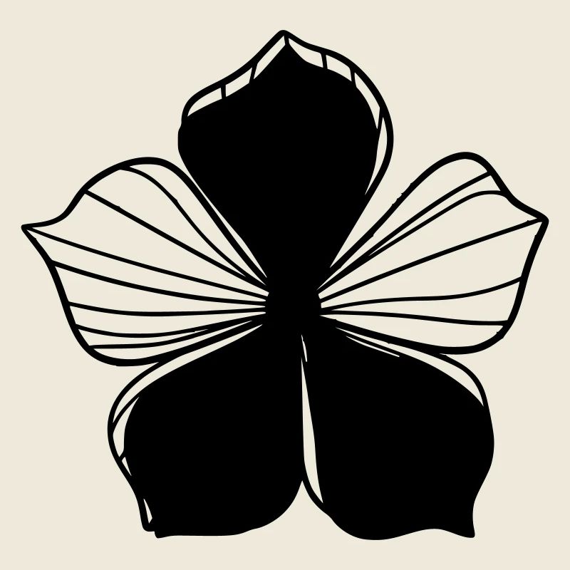 Design floral graphique transparent - Graphique fleur