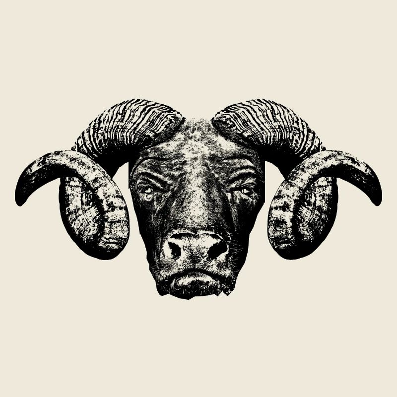 Minotaur / Head