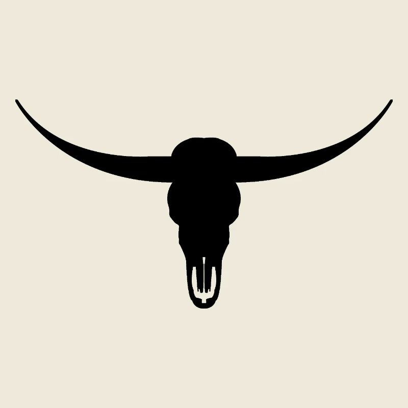 Longhorn head skull