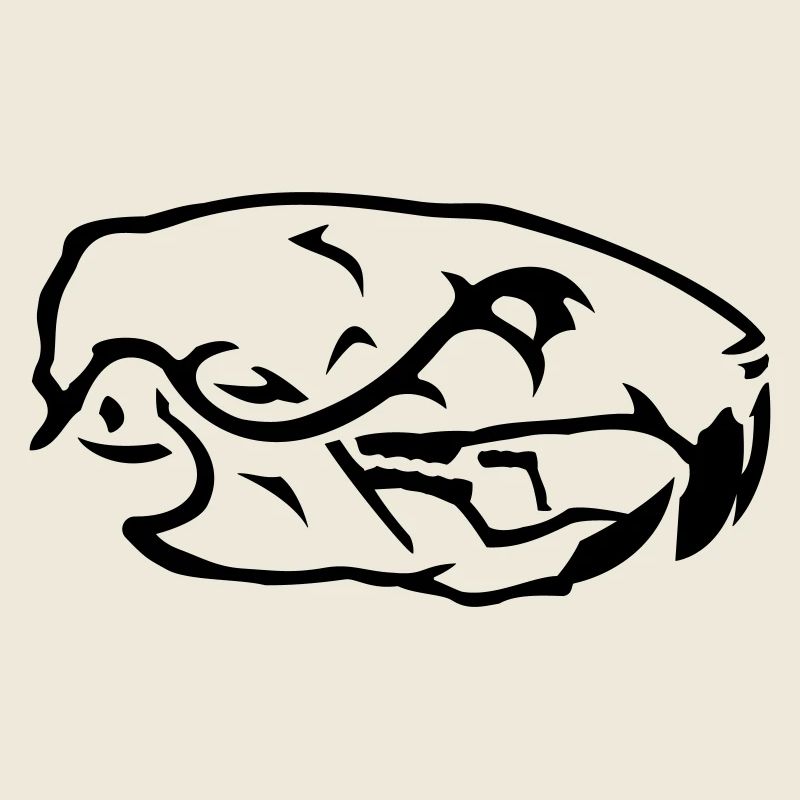 Ratten Skull Schädel