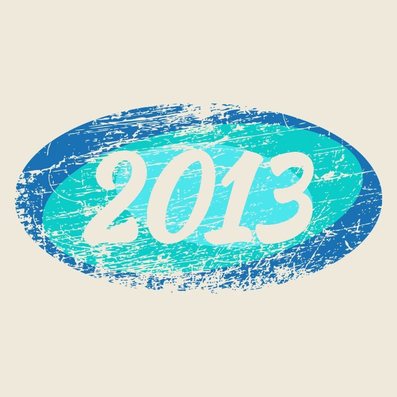 2013 2013