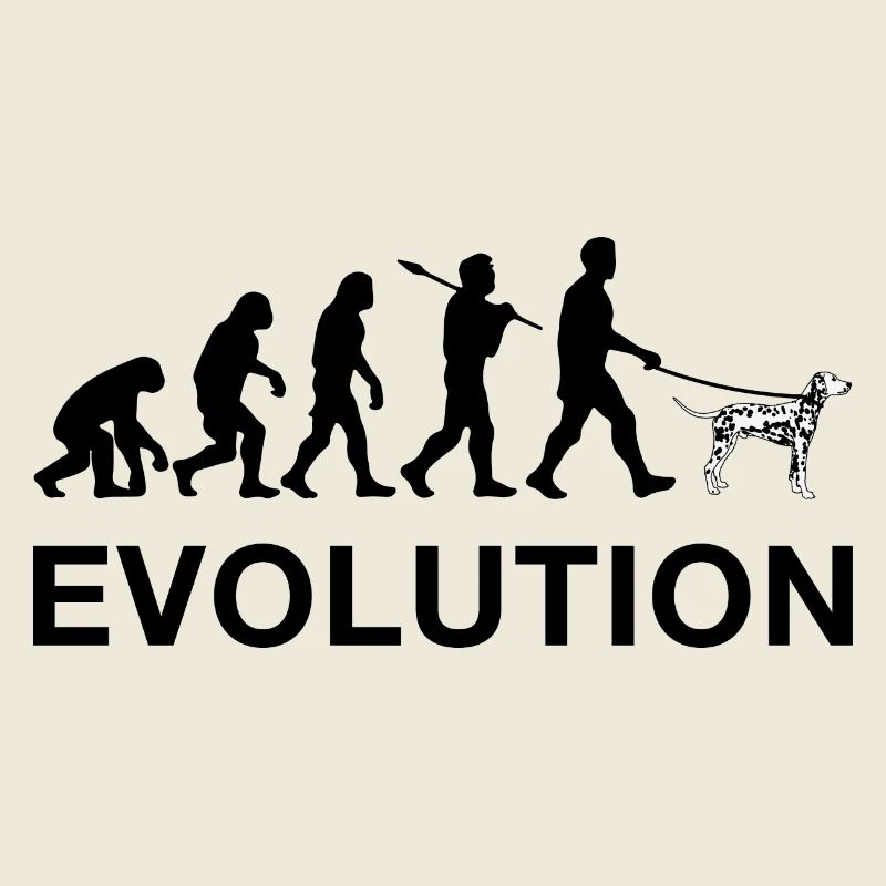 Evolution