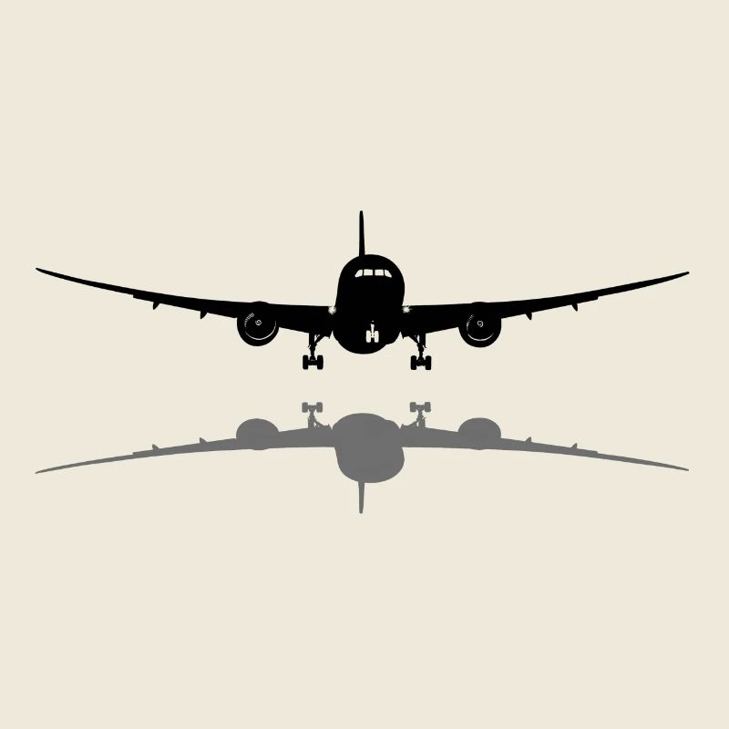 Avion de ligne