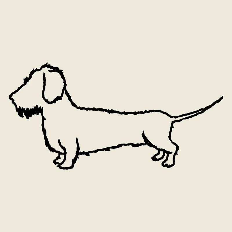 Porte-chien pour couverture Teckel à poil rugueux