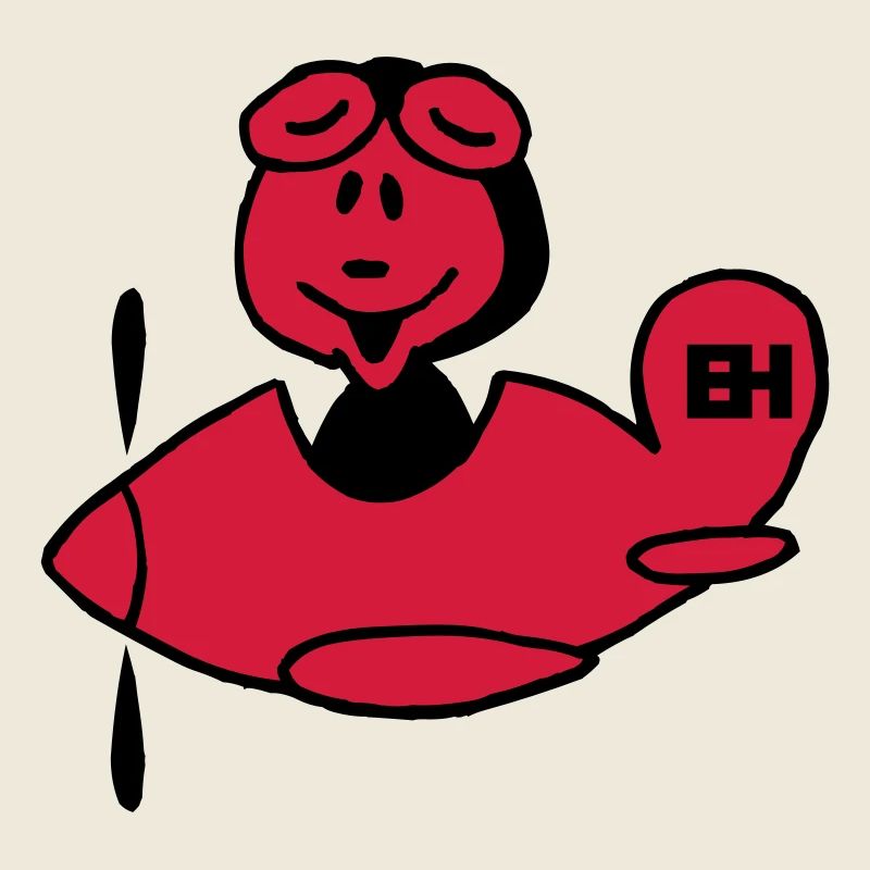 Flugzeug