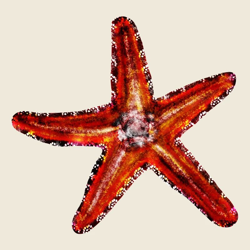 Red Starfish