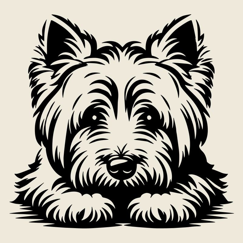 Tête de West Highland Terrier avec pattes