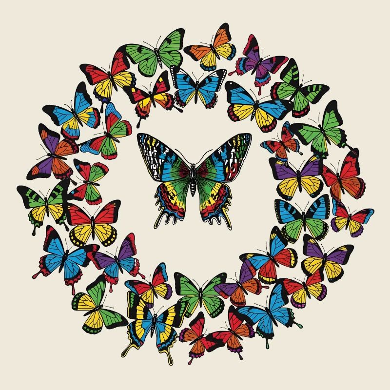 Rainbow Butterfly Circle