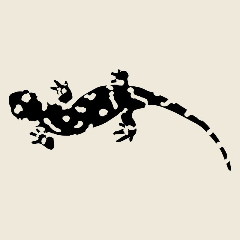 salamandre