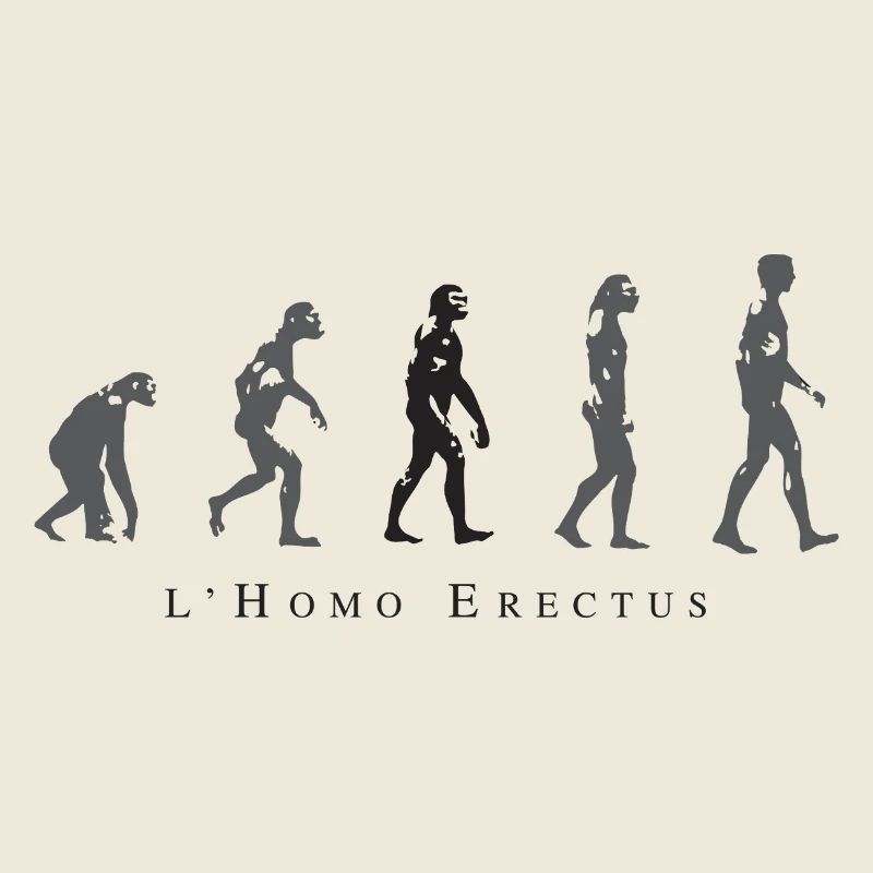 Evolution der menschlichen Haltung