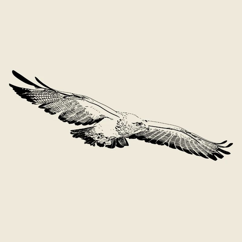 Adler