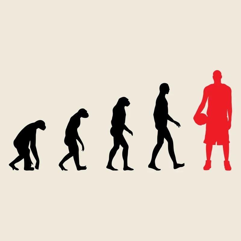 Basket Ball Evolution / Basketball