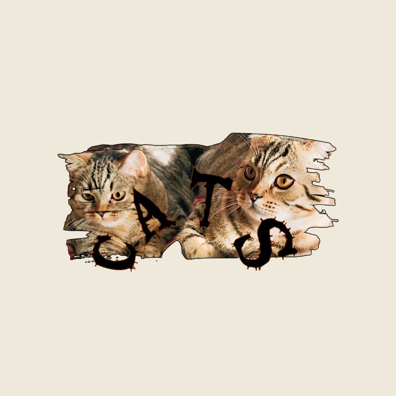 Katzen-Collage: Zerrissene Fellkunst