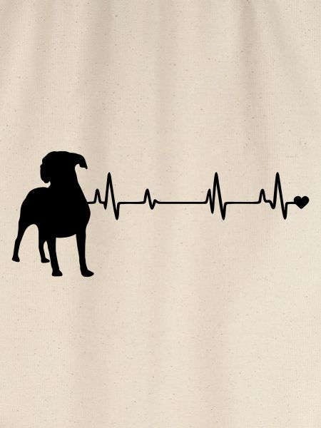 Hund