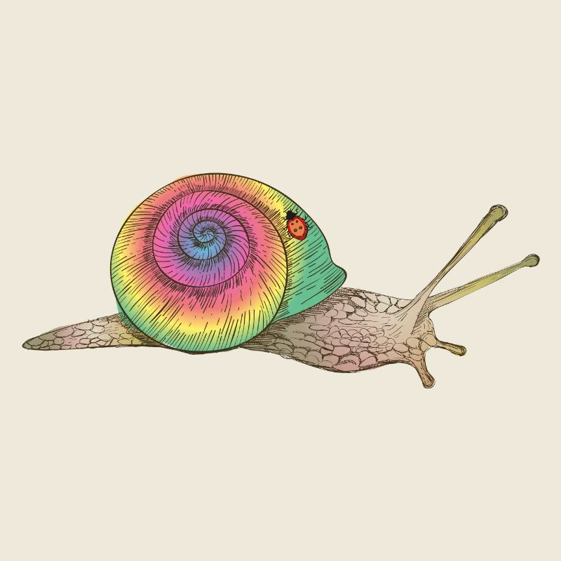 colorful snail with rainbow shell