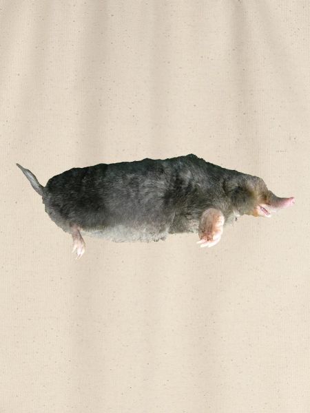 Maulwurf