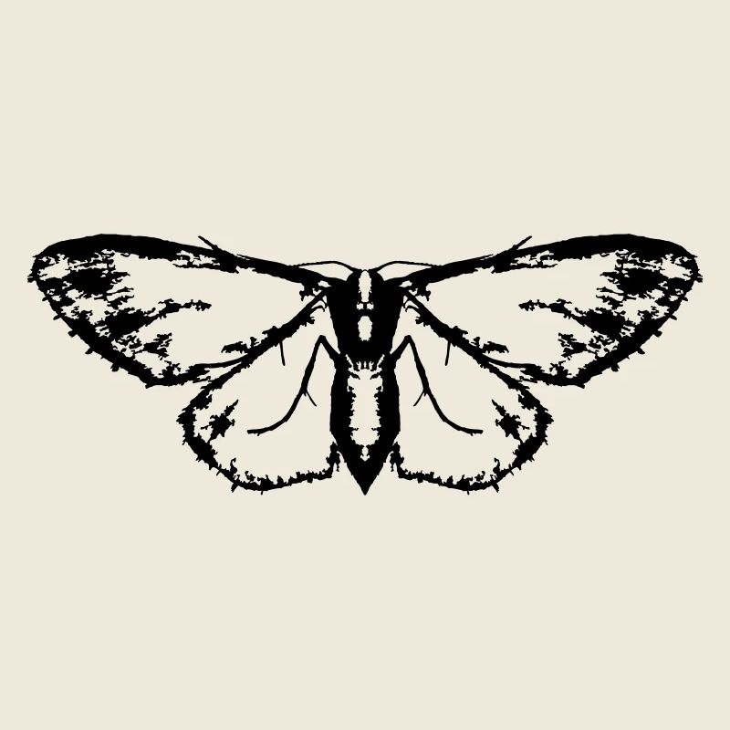 Moth / Butterfly / Moth