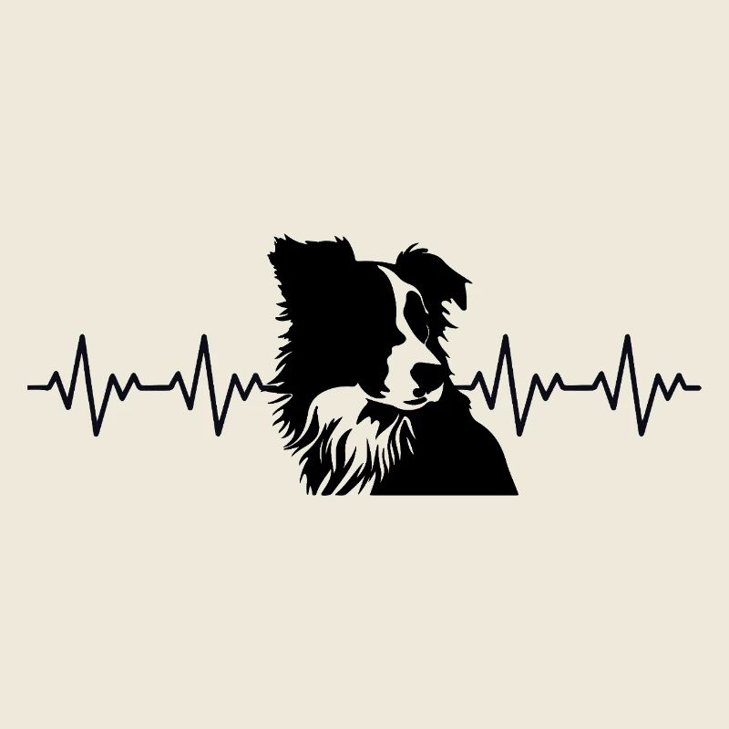 Battement de cœur ECG Border Collie