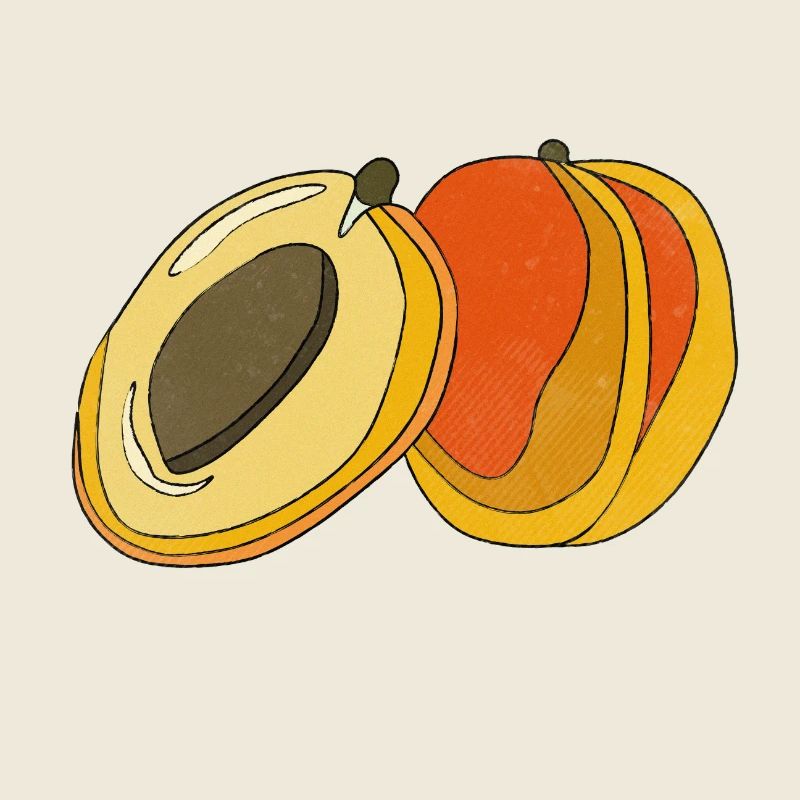 pêche Abricot d’été fruit plaisir cadeau