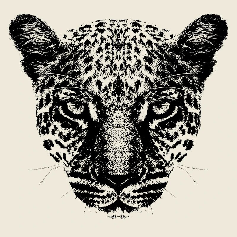 Leopard / Head / Black