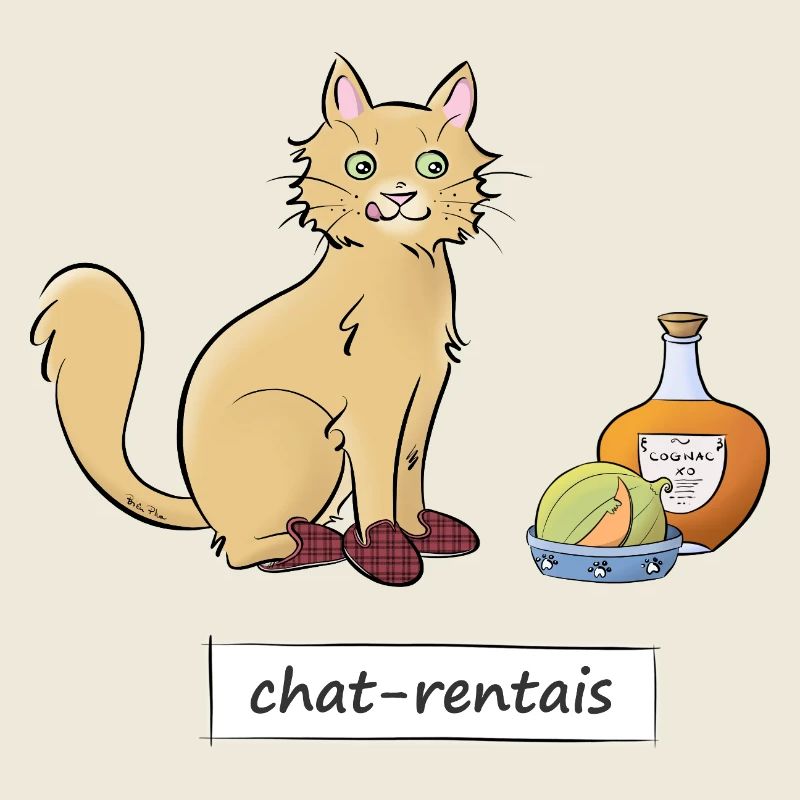 Chat-rentais