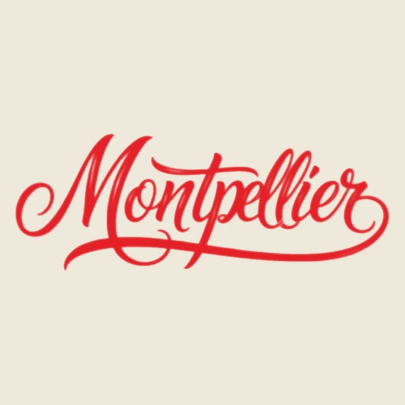 Montpellier Cityscape Silhouette