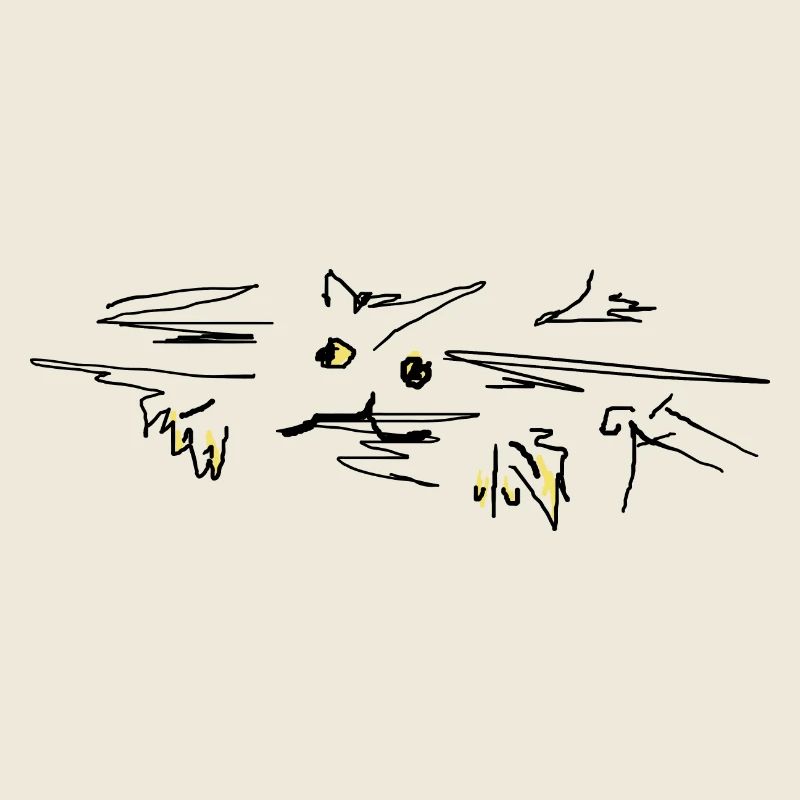 Katze cat