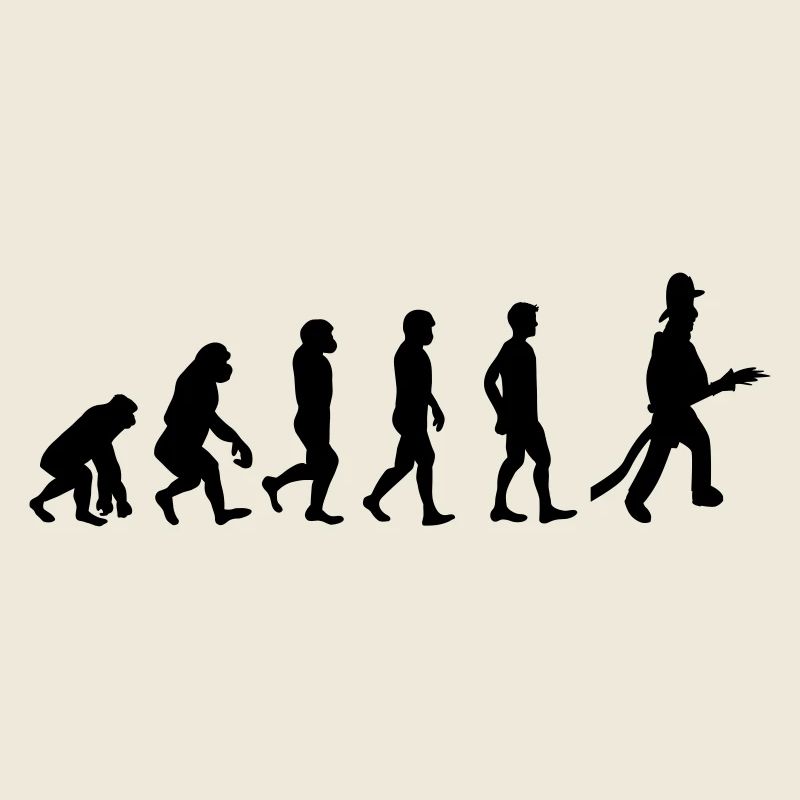 Fire evolution