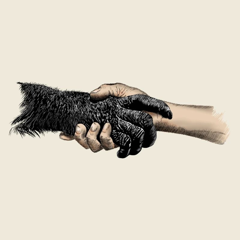 Hands