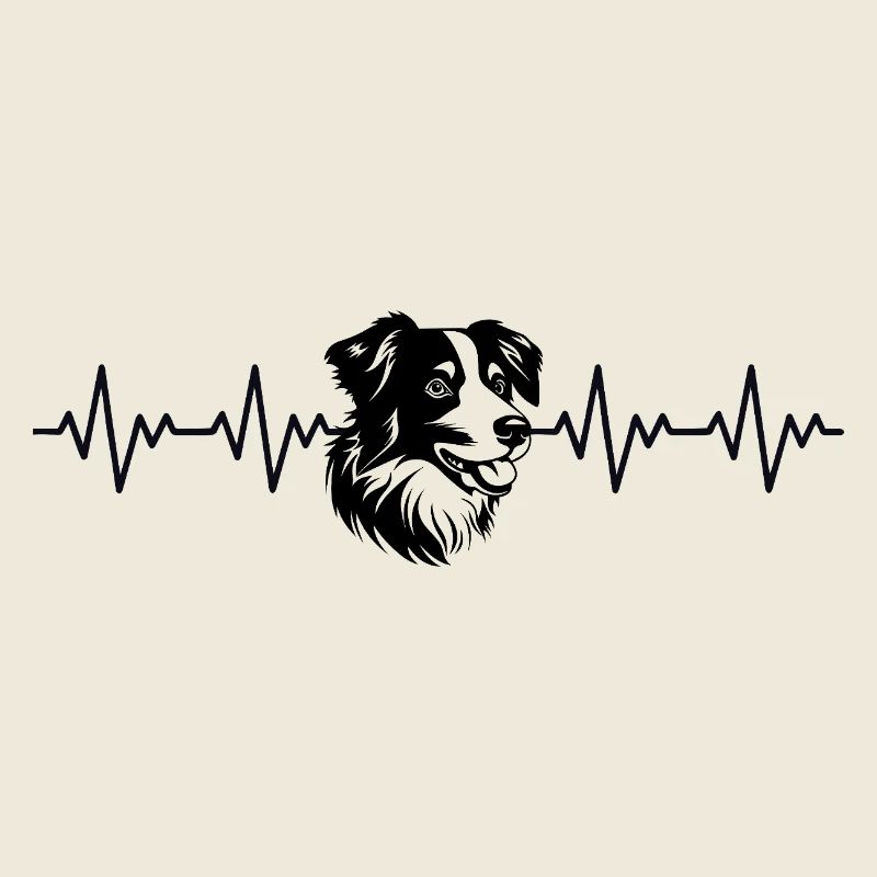Battement de cœur ECG Border Collie