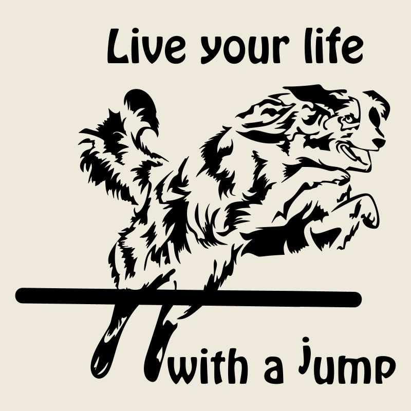 Agility Australian Shepherd Aussie