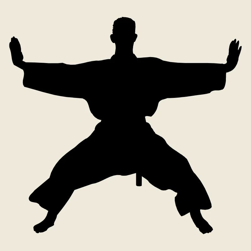 Kata karate shotokan
