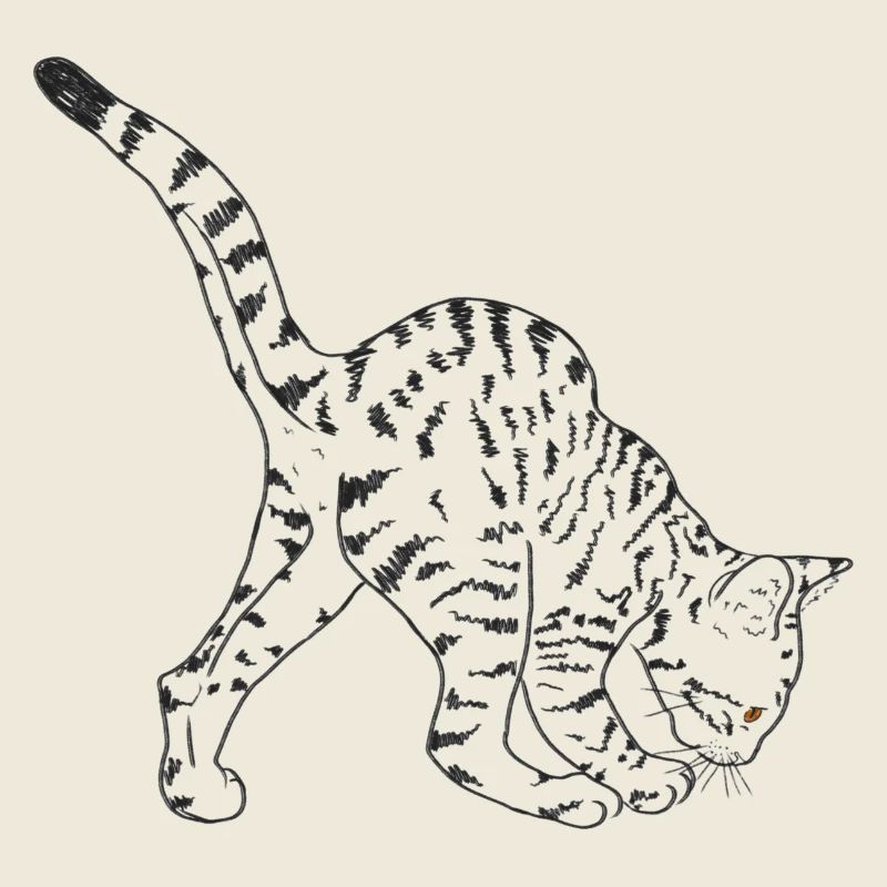 Schwarze Katze