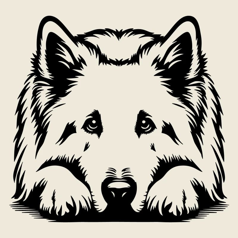 Swiss Shepherd