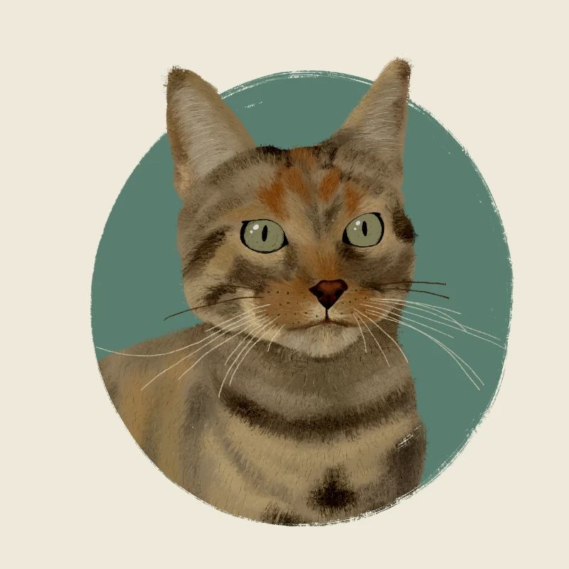 Braun getigerte Katze