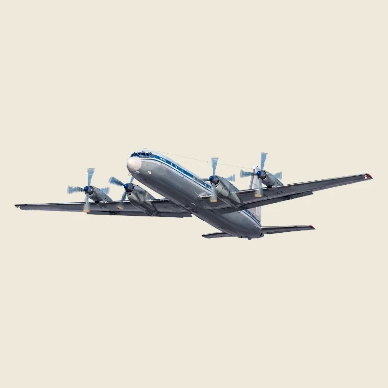 L’IL-18