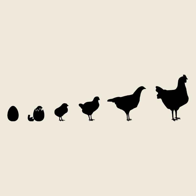 Snapshot Chick Family, Chicken, Evolution,