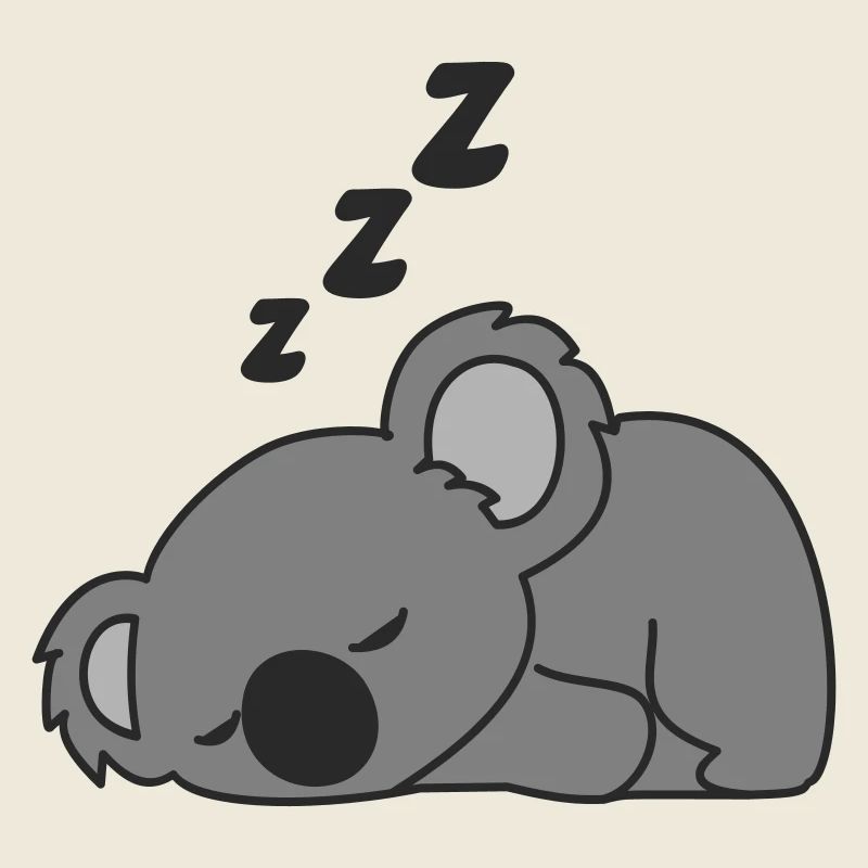 koala endormi