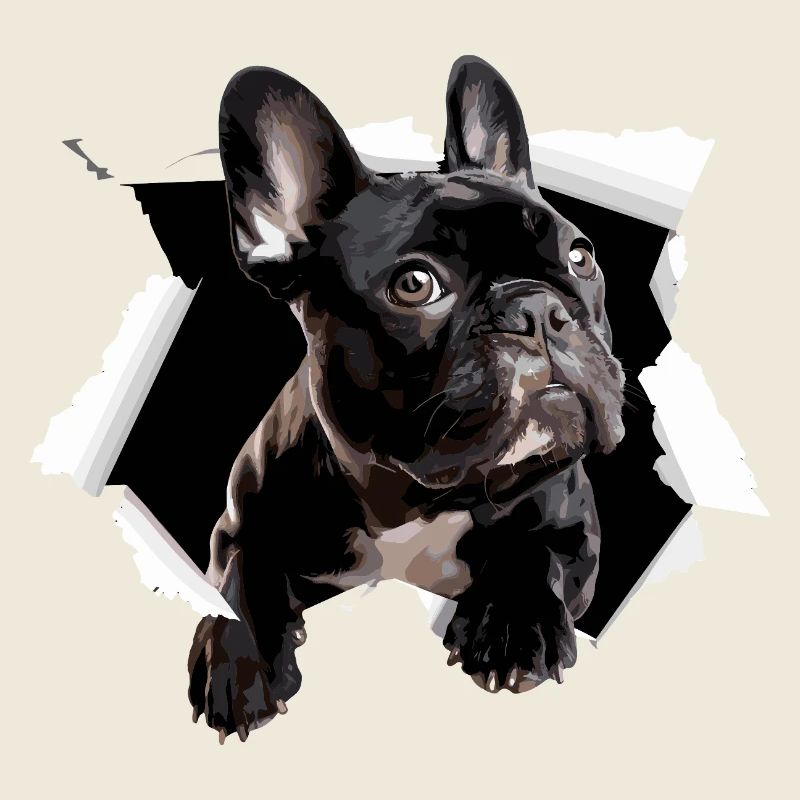 Percée du bouledogue français Drôle