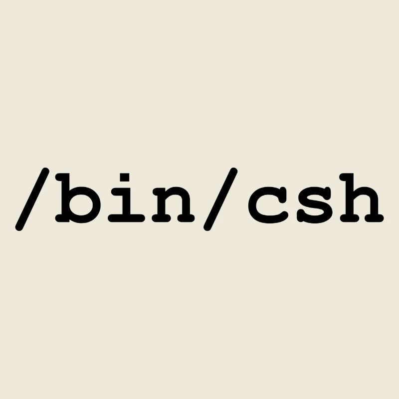 Interpréteur C - /bin/csh