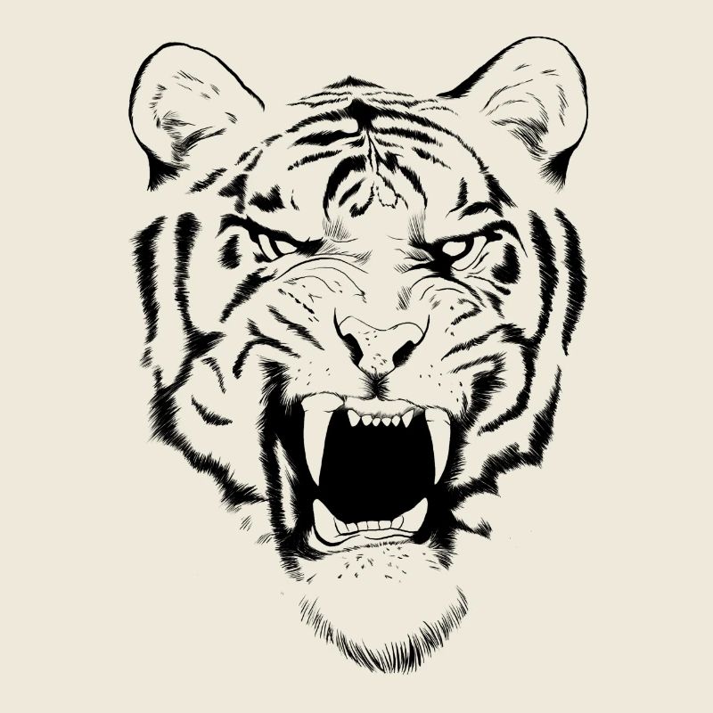 tigre classique
